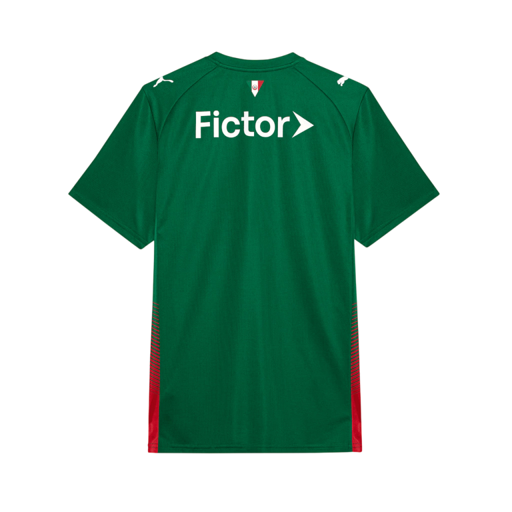 Camisa Palmeiras Home 26/27 - Torcedor Puma Masculina - Verde