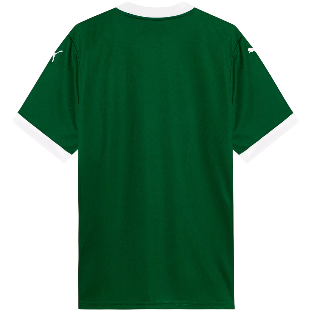 Camisa Palmeiras I 25/26 - Torcedor Puma Masculina - Verde