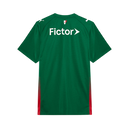 Camisa Palmeiras Home 26/27 - Torcedor Puma Masculina - Verde