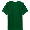 Camisa Palmeiras I 25/26 - Torcedor Puma Masculina - Verde