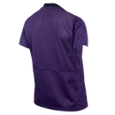 Camisa Timão 25/26 Treino - Torcedor Nike Feminina - Roxa